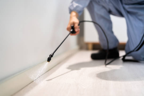 Bed Bug Pre-Treatment Preparation Assessment in Powell