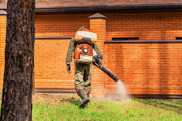 Bed Bug Clearance Verification and Documentation in Powell